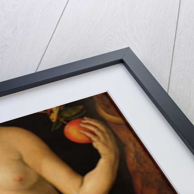 Eve, 1507 by Albrecht Dürer or Duerer