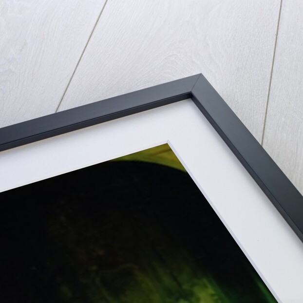 Portrait of Amalia de Llano y Dotres, Countess of Vilches, 1853 by Federico de Madrazo y Kuntz