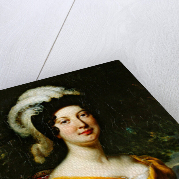 Portrait of Marshal Lanne's wife by Antoine Jean Gros