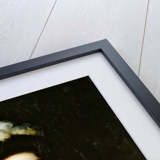 Portrait of Marshal Lanne's wife by Antoine Jean Gros