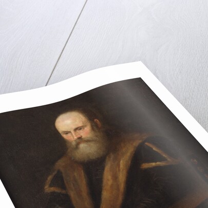 Portrait of a Venetian noble by Jacopo Robusti Tintoretto