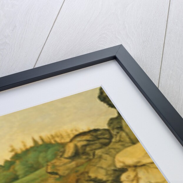 Road in the Alps, 1495 by Albrecht Dürer or Duerer