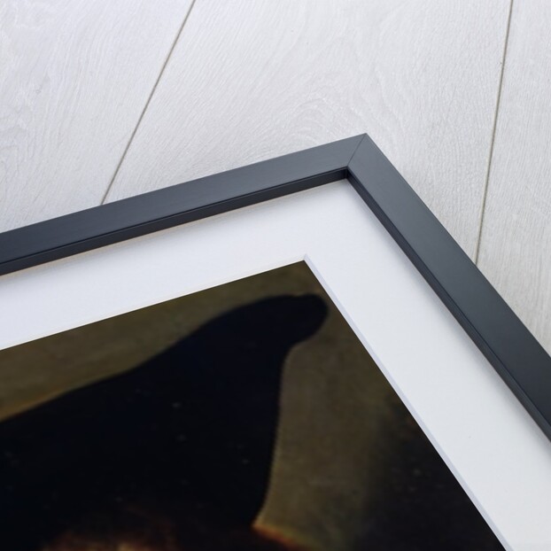 Portrait of an Unknown Man, 1524 by Albrecht Dürer or Duerer