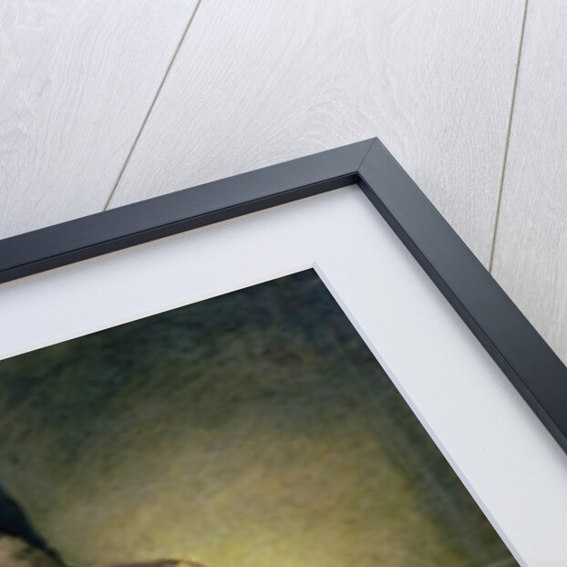 Don Jose Alvarez de Toledo y Gonzaga, XIII Duque de Alba and XI Marques de Villafranca, 1795 by Francisco Jose de Goya y Lucientes