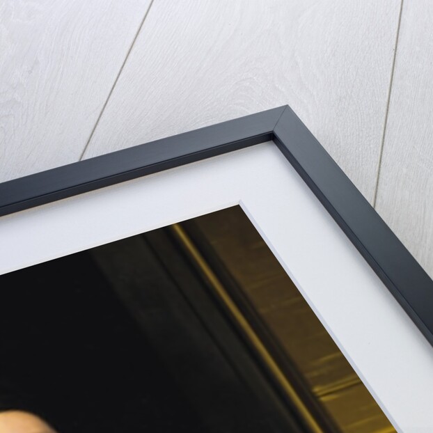 Madame de Senonnes, 1814-16 by Jean Auguste Dominique Ingres