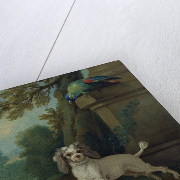Zaza, the dog, c.1730 by Jean-Baptiste Oudry