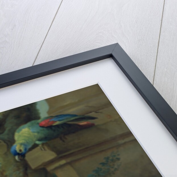 Zaza, the dog, c.1730 by Jean-Baptiste Oudry