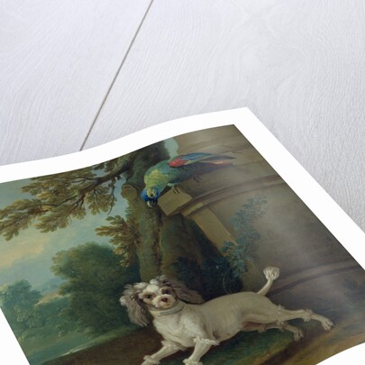 Zaza, the dog, c.1730 by Jean-Baptiste Oudry