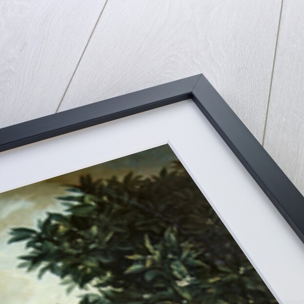 Animals, flowers and fruits by Alexandre-Francois Desportes