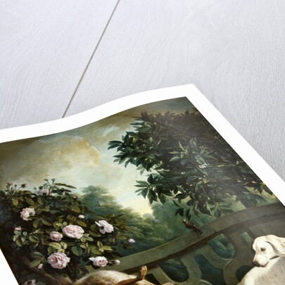 Animals, flowers and fruits by Alexandre-Francois Desportes