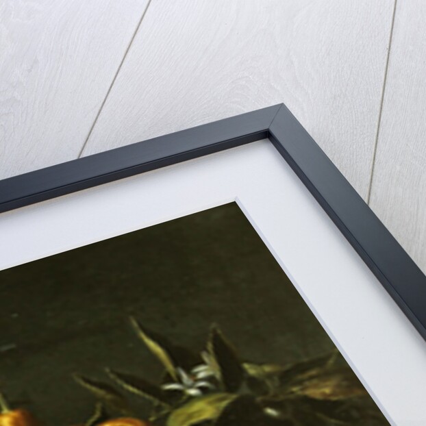 Still life with lemon, orange and pomegranate by French School