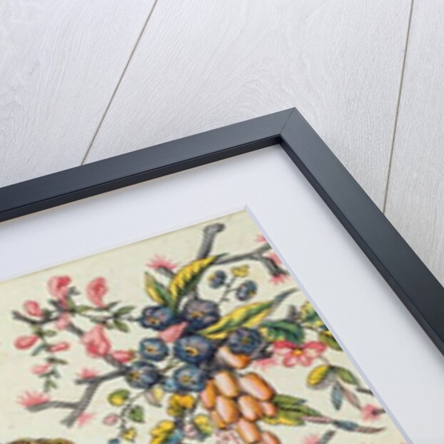 Indian model by Peter Lemeunnie