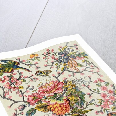 Indian model by Peter Lemeunnie