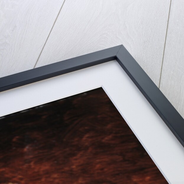 Still life of pie, 1884 by Guillaume Romain Fouace