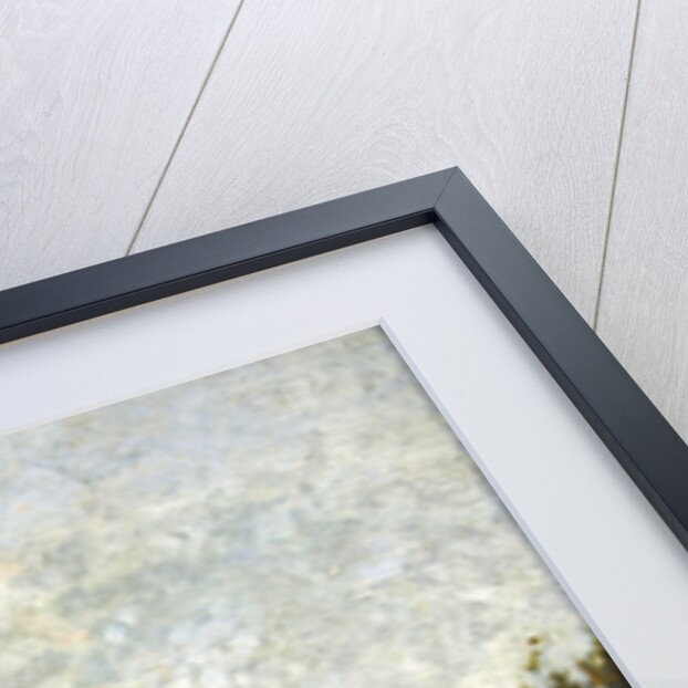 Laundresses' boat on the Seine by Stanislas Victor Edouard Lepine