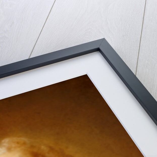 Abraham van Robais by Jean-Baptiste Perronneau