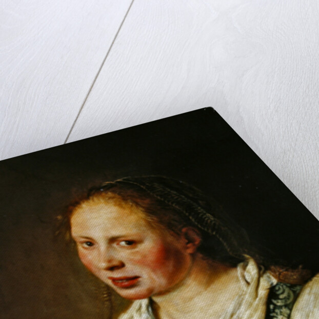 Painting of the young peasant by Salomon de Bray