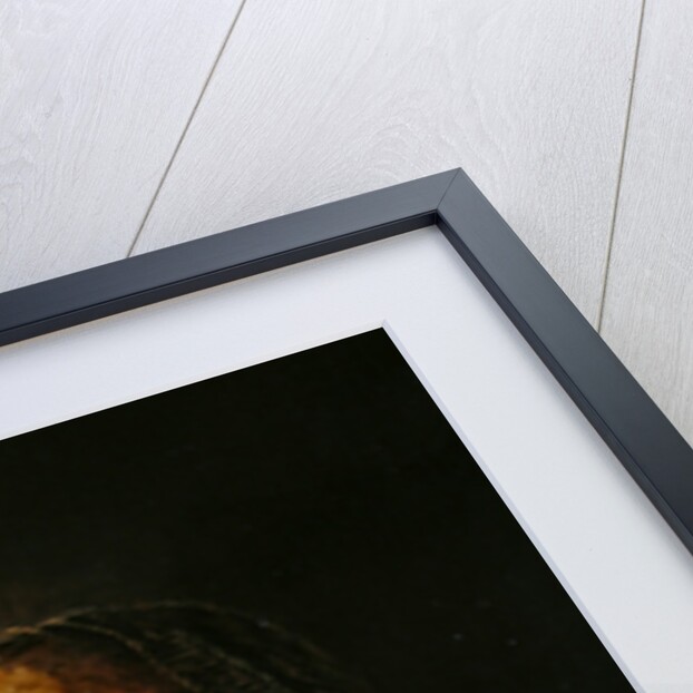 Painting of the young peasant by Salomon de Bray