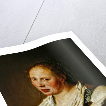 Painting of the young peasant by Salomon de Bray