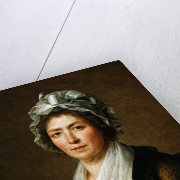 Portrait of a woman, or the governess of the the artist's children by Jacques Louis David