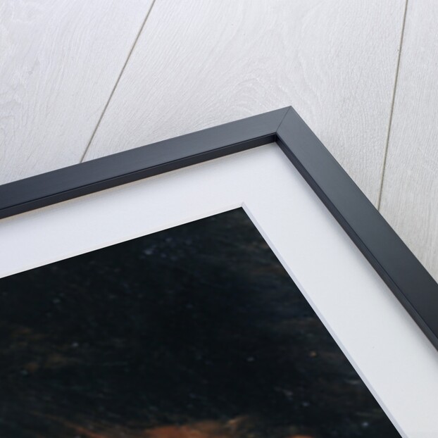 Head of a horseman, c.1812 by Theodore Gericault