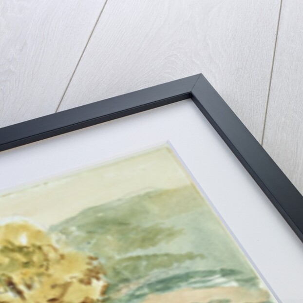 Three trees at the edge of a hill by Ferdinand Victor Eugene Delacroix