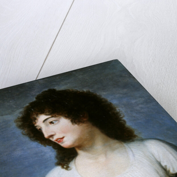 Laure de Guesnon de Bonneuil, Countess Regnaud de Saint-Jean d'Angely by Andrea the Elder Appiani