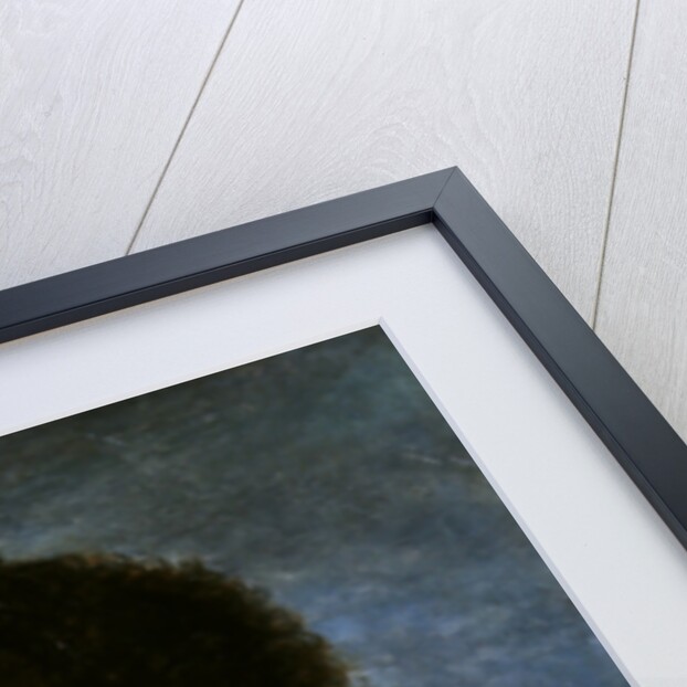 Laure de Guesnon de Bonneuil, Countess Regnaud de Saint-Jean d'Angely by Andrea the Elder Appiani