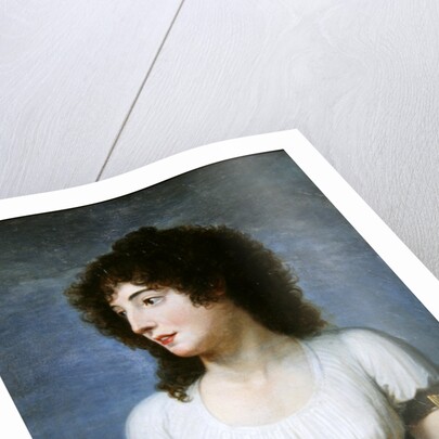 Laure de Guesnon de Bonneuil, Countess Regnaud de Saint-Jean d'Angely by Andrea the Elder Appiani