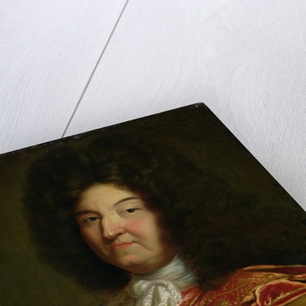 Louis XIV by French School