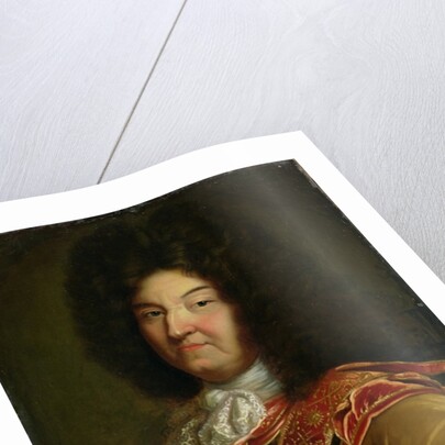 Louis XIV by French School