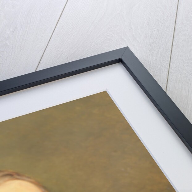 Alphonse de Lamartine 1847-48 by Ary Scheffer