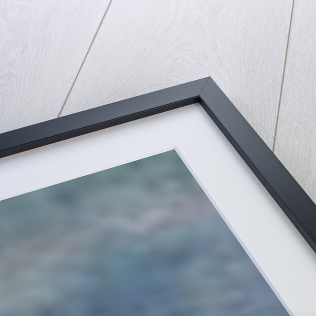 The Waterlilies, The Two Willows, c.1915-26 by Claude Monet