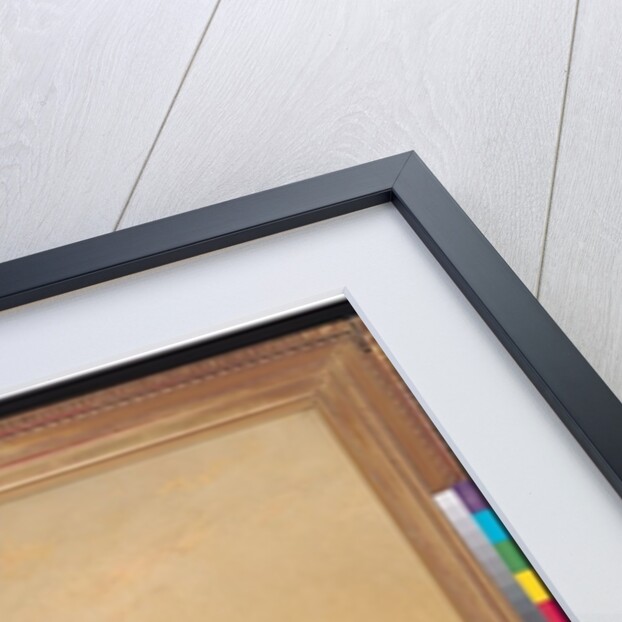 The Mouth of the Bosphorus at Constantinople, 1869 by Francois Barry