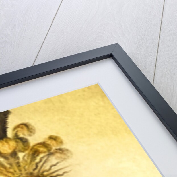 Louis XIV in the costume of the Sun King, 1653 by French School