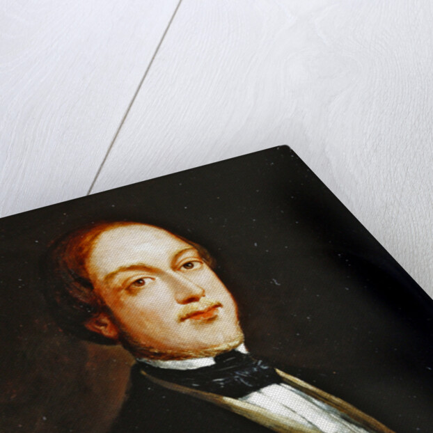 Henri Charles Ferdinand Marie Dieudonne of France, Duke of Bordeaux, Count of Chambord by John Lewis Brown