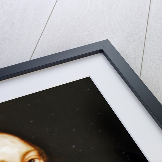 Henri Charles Ferdinand Marie Dieudonne of France, Duke of Bordeaux, Count of Chambord by John Lewis Brown