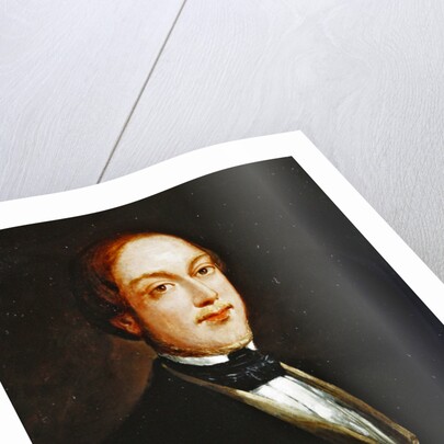 Henri Charles Ferdinand Marie Dieudonne of France, Duke of Bordeaux, Count of Chambord by John Lewis Brown