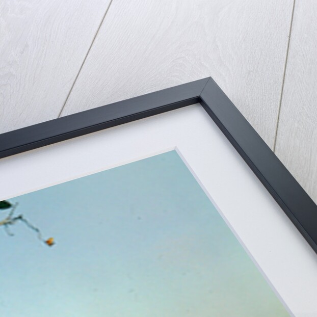 The Red Fort by Anonymous