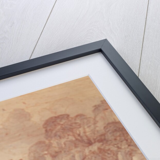 The Rape of Europa, 1655 by Claude Lorrain