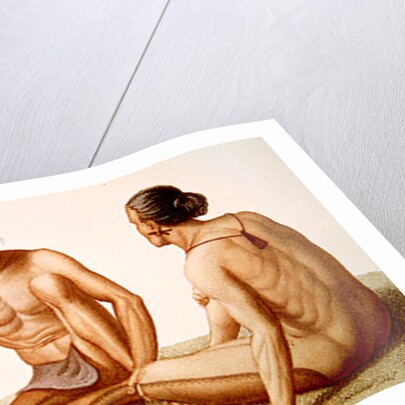 Habitants of the island of Oualan in the Caroline Islands archipelago by French School