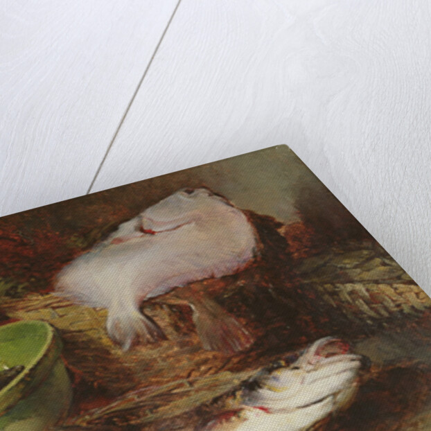 A Fine Fish by Guillaume Romain Fouace