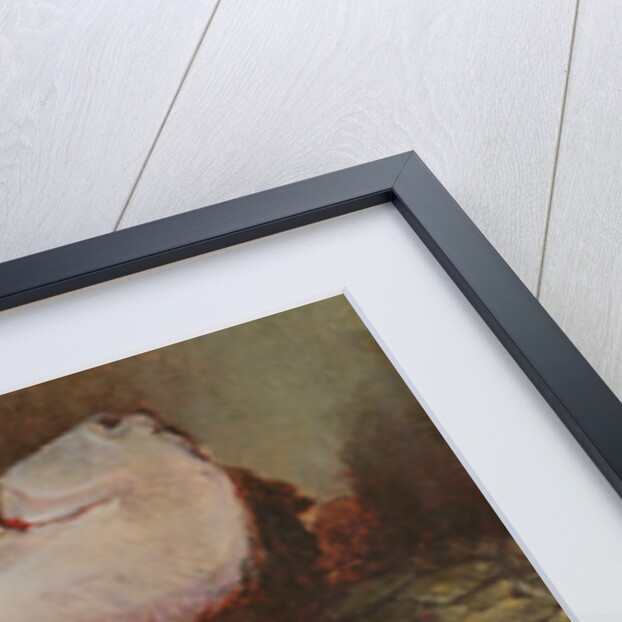 A Fine Fish by Guillaume Romain Fouace