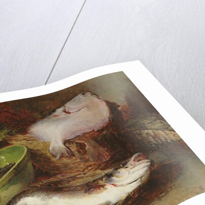 A Fine Fish by Guillaume Romain Fouace