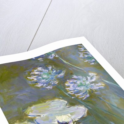Waterlilies and Agapanthus, 1914-17 by Claude Monet