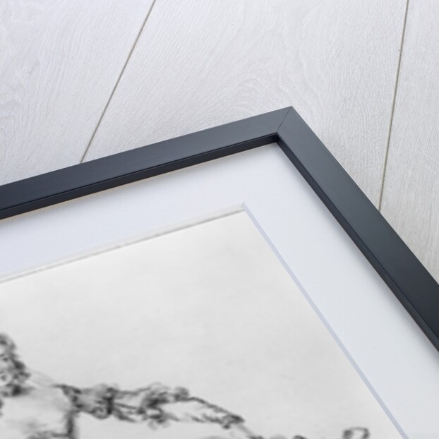 Mademoiselle Marie Salle by Louis Rene Boquet