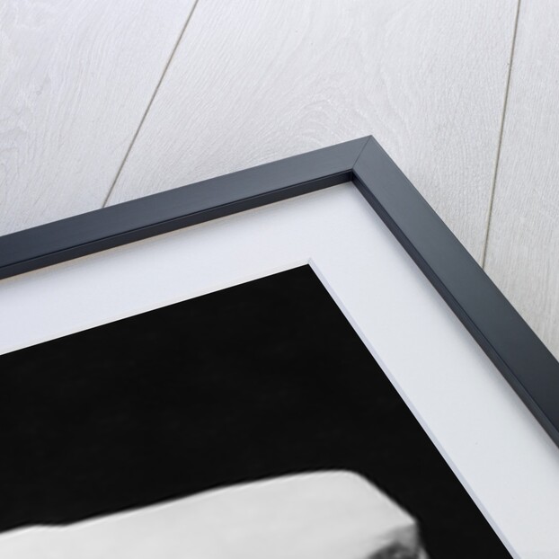 Minerva without helmet, 1896 by Auguste Rodin