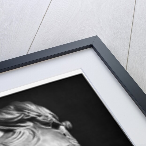 Georges Cuvier, 1833 by Pierre Jean David d'Angers