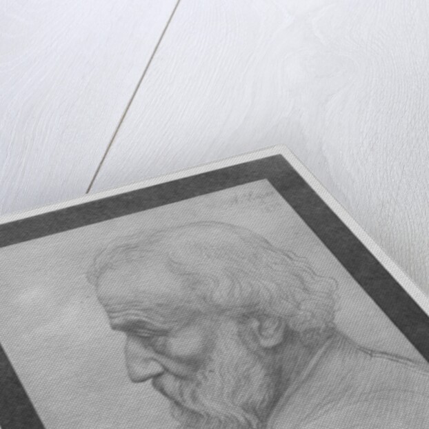 Head of an old man with long hair, 1899 by Alphonse Legros