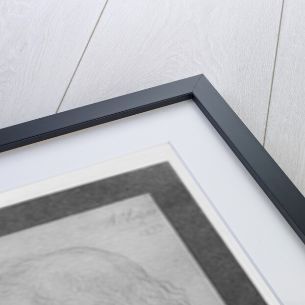 Head of an old man with long hair, 1899 by Alphonse Legros